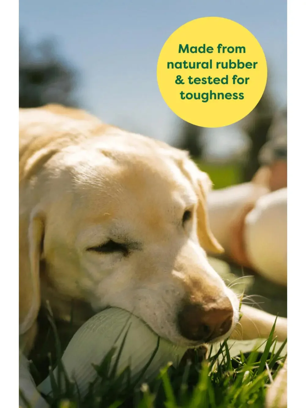 (RGB4) Earth Rated Natural Rubber Treat Dispensing Dog Toy Large NWT Puzzle